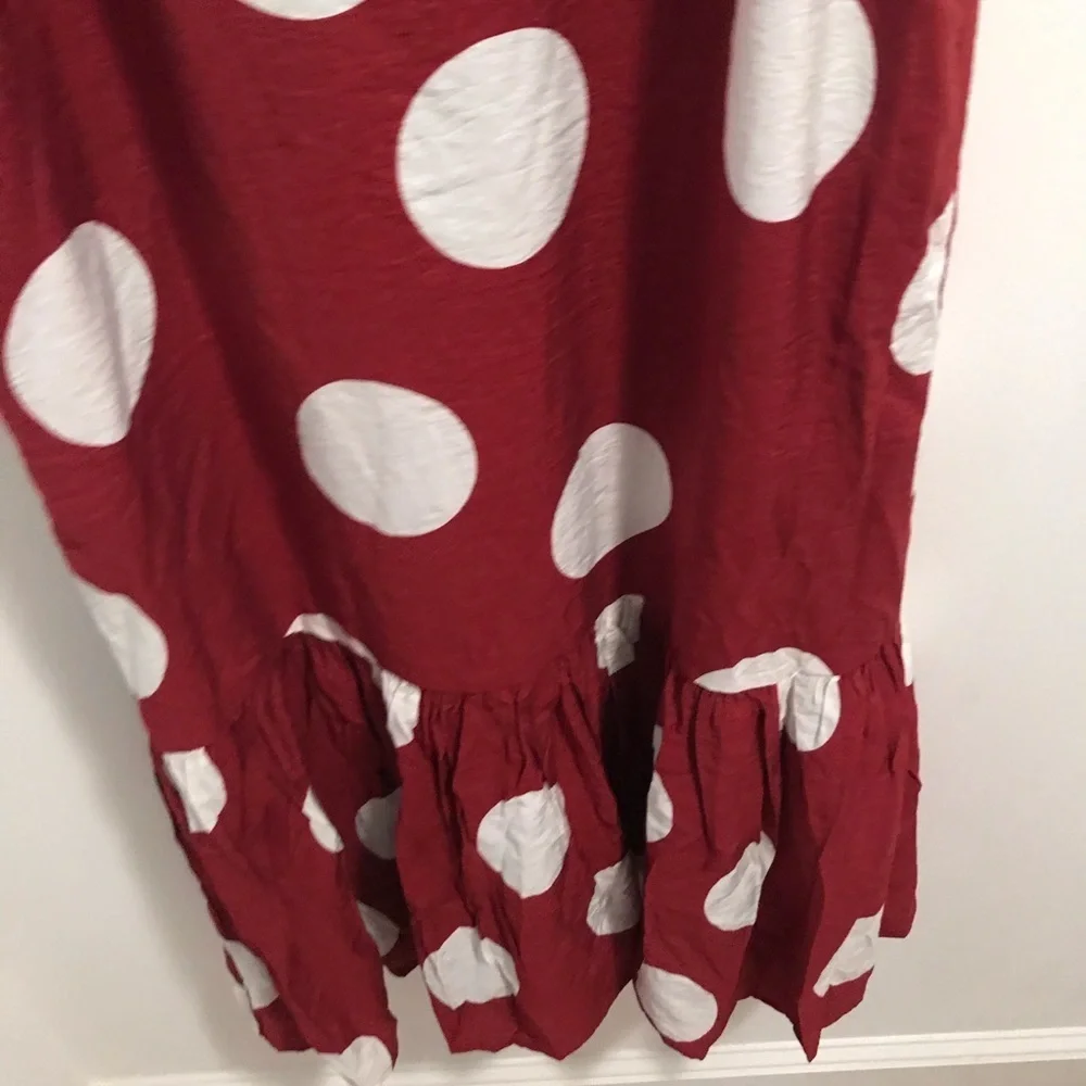 Anthropologie Michaela Flounced Polka Dot dress